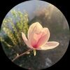 rhonda_ruth